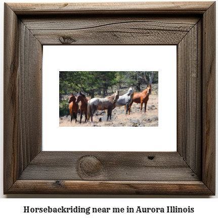 horseback riding near me in Aurora, Illinois